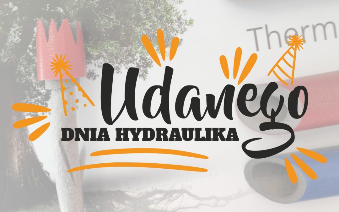 🎂 Udanego Dnia Hydraulika!